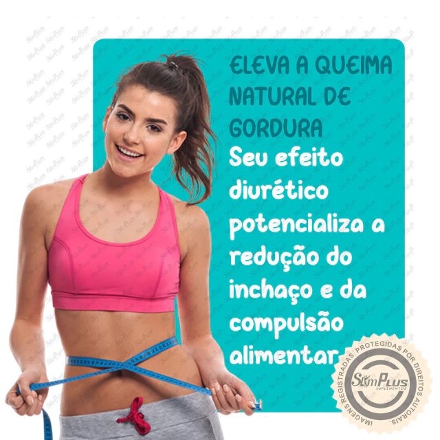 Lipo Plus Millennium 30 Cápsulas